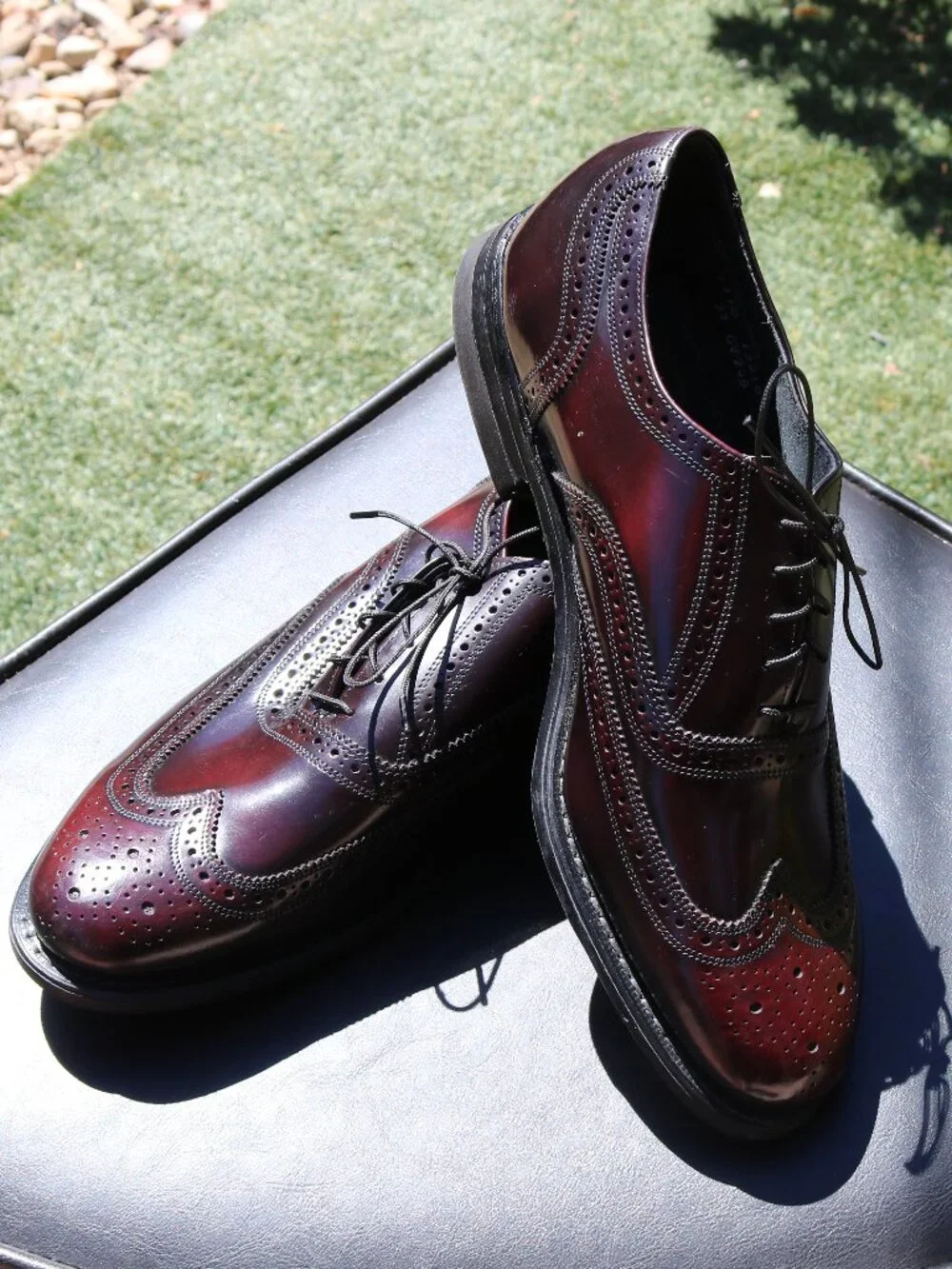 Stuart McGuire Longwing Blucher 